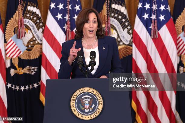 Vice President Kamala Harris speaks during an event promoting lower healthcare costs in the East Room of the White House on August 29, 2023 in...