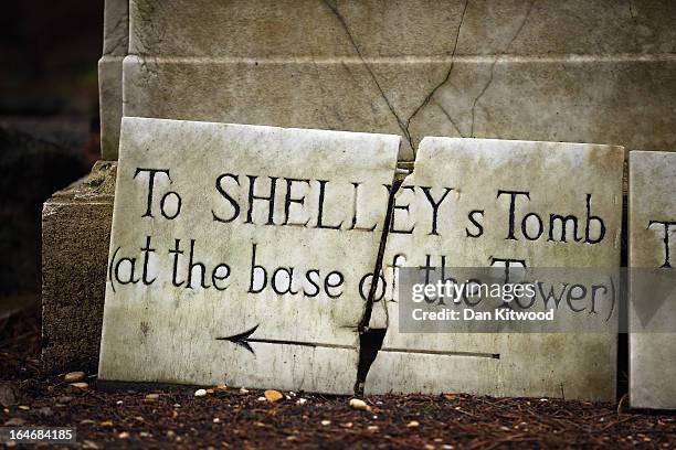 Shelley Rome 430 Shelley Rome Stock Photos, High-Res Pictures, and Images - Getty Images