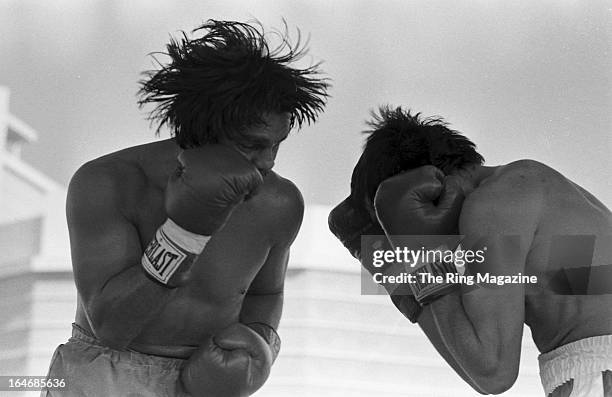 20 Luigi Minchillo Stock Photos, HighRes Pictures, and Images Getty