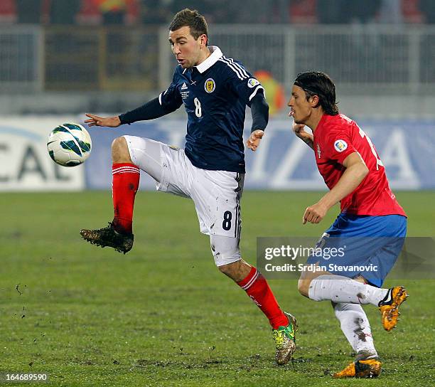 James McArthur of Scotland in action against Ljubomir Fejsa of Serbia during the FIFA 2014 World Cup Qualifier between Serbia and Scotland at...