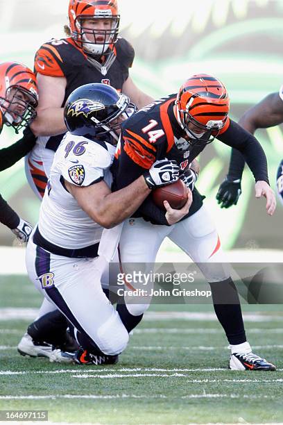 Ma'ake Kemoeatu of the Baltimore Ravens sacks Andy Dalton of the Cincinnati Bengals during their game at Paul Brown Stadium on December 30, 2012 in...