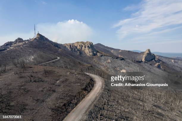 Aerial view of Burnt forest near Lefkimi village at Dadia Lefkimi National Park on August 29, 2023 in Alexandroupoli, Greece. The European Commission...