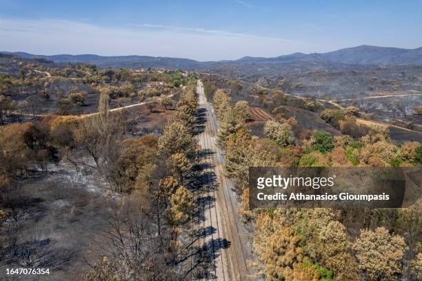 Aerial view of Burnt forest near Kirki village on August 29, 2023 in Alexandroupoli, Greece. The European Commission described the Northen Greece...