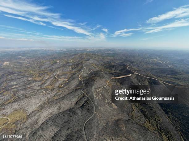 Aerial view of Burnt forest near Lefkimi village at Dadia Lefkimi National Park on August 29, 2023 in Alexandroupoli, Greece. The European Commission...