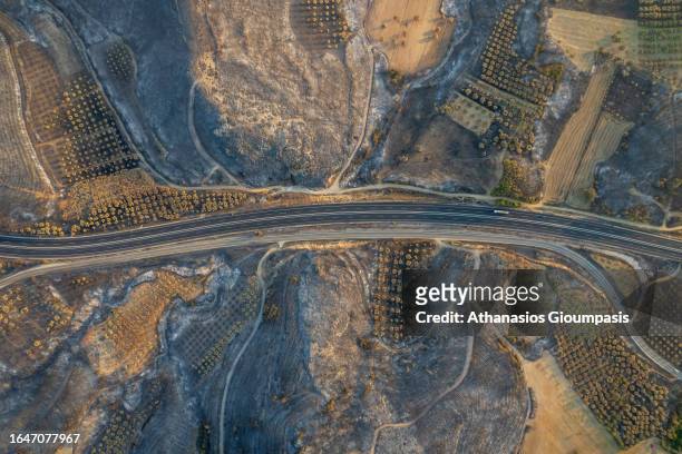 Aerial view of Burnt forest and Egnatia road on August 29, 2023 in Alexandroupoli, Greece. The European Commission described the Northen Greece blaze...