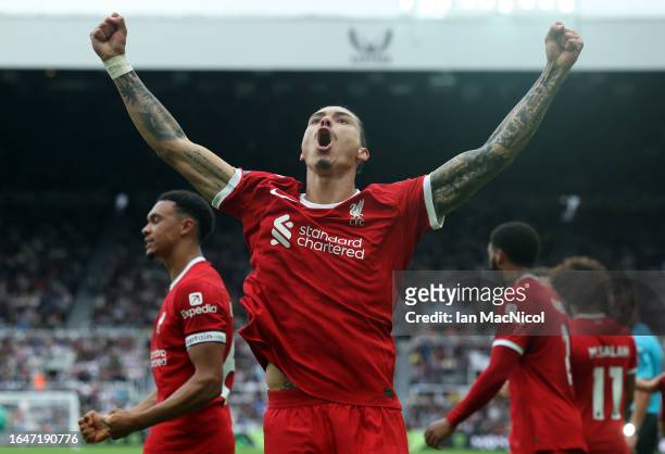 Darwin Nunez of Liverpool celebrates after scoring the team's first goal to equalise during the Premier League match between Newcastle United and...