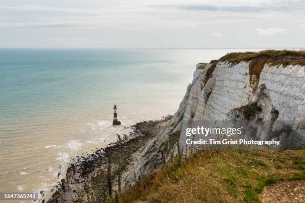 beachy head and the english channel - south downs national park stock pictures, royalty-free photos & images