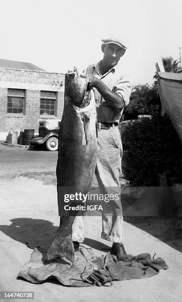 Man stands holding a 68.5 pound white seabass caught near the Coronado Islands in Mexico on June 13, 1937. In the background is a brick building and...