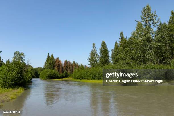 susitna river - mt susitna stock pictures, royalty-free photos & images