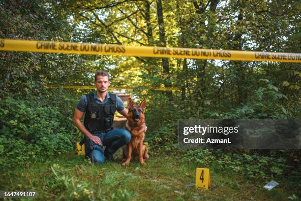 focused mid adult crime  detective with gun holster on thigh and search dog - slovenia police stock pictures, royalty-free photos & images