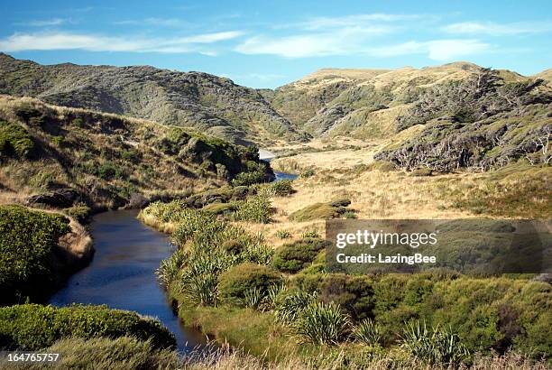 riverscape, kahurangi national park, golden bay, neuseeland - kahurangi national park stock-fotos und bilder