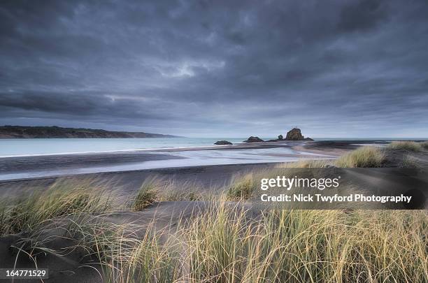 west coast mood - new zealand beach stock pictures, royalty-free photos & images