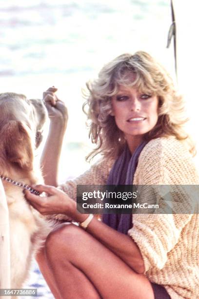 American actress Farrah Fawcett-Majors poses on Leo Carrillo Beach wearing a gold watch, a blue scarf, shorts and a yellow cable-knit sweater holding...