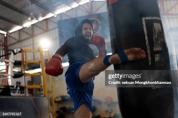 muay thai boxer during training session practicing kicks on a sandbag. - combat sport stock pictures, royalty-free photos & images