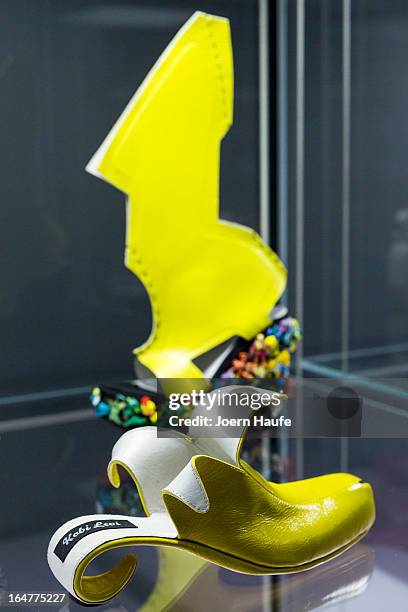 Shoe with the name 'Banana' designed for Whoopi Goldberg by Kobi Levi and shoe with the name 'Lady Gaga Shoe' designed for Lady Gaga by Ben Naaem at...