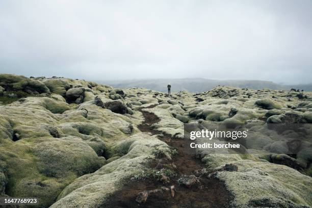 woman walking in moss fields in iceland - volcanic rock stock pictures, royalty-free photos & images