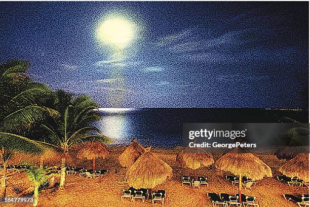 tropical beach and moonlight - spring break stock illustrations