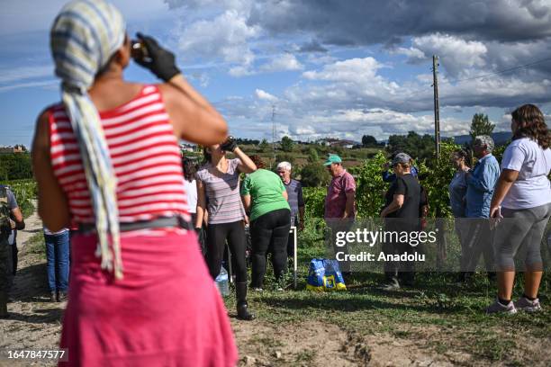 Workers rest as they harvest the Alvarinho grape in Moncao, Portugal on September 04, 2023. For the first time, Moncao cooperative winery, which...