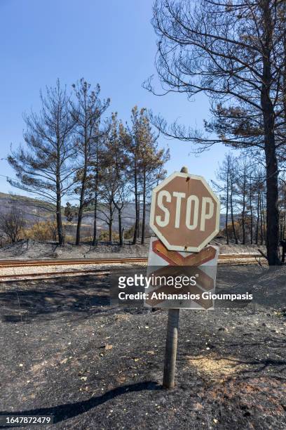 Burnt road signs near Kirki village on August 29, 2023 in Alexandroupoli, Greece. The European Commission described the Northen Greece blaze as the...