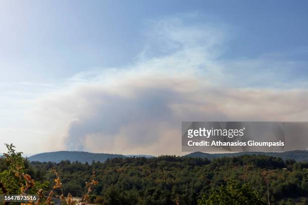 The wild fire at Dadia National Park on August 29, 2023 in Alexandroupoli, Greece. The European Commission described the Northen Greece blaze as the...