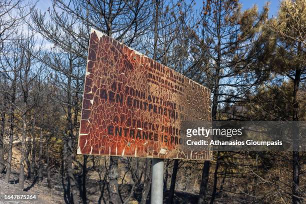Fire damaged sign at the burnt forest near Lefkimi village at Dadia Lefkimi National Park on August 29, 2023 in Alexandroupoli, Greece. The European...
