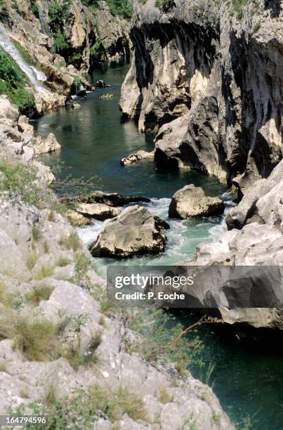 the gorges of the hérault river - hérault stockfoto's en -beelden