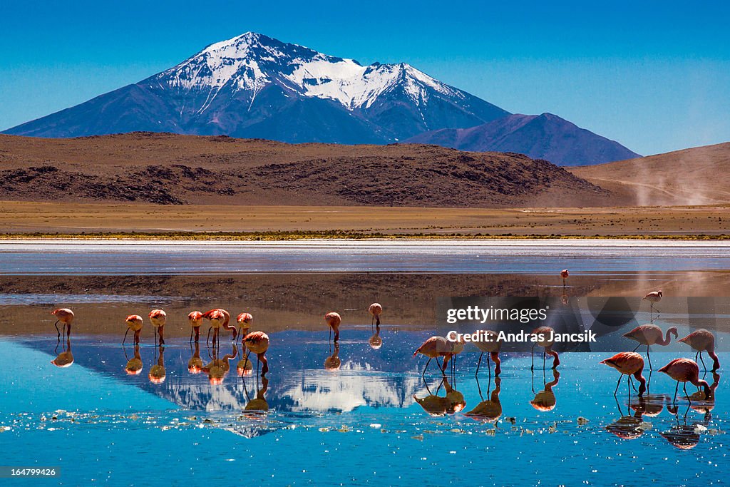 Bolivian Altiplano