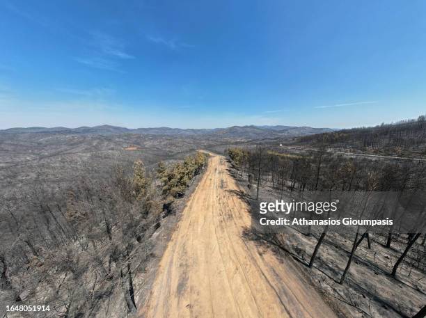 An aerial view of a burnt forest near Kirki village on August 29, 2023 in Alexandroupoli, Greece. The European Commission described the Northern...