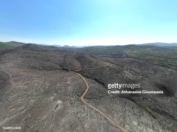 An aerial view of a burnt forest near Kirki village on August 29, 2023 in Alexandroupoli, Greece. The European Commission described the Northern...
