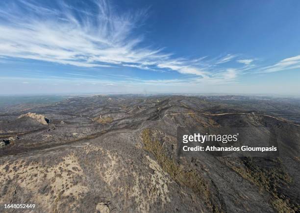 An aerial view of a burnt forest near Lefkimi village at Dadia Lefkimi National Park on August 29, 2023 in Alexandroupoli, Greece. The European...
