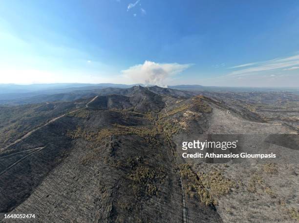 An aerial view of a burnt forest near Lefkimi village at Dadia Lefkimi National Park on August 29, 2023 in Alexandroupoli, Greece. The European...