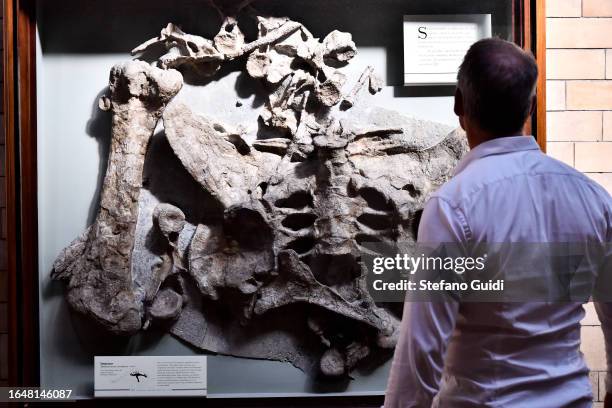 General view of tourists visit the Natural History Museum on August 23, 2023 in London, England. London is the capital of England, many of the...