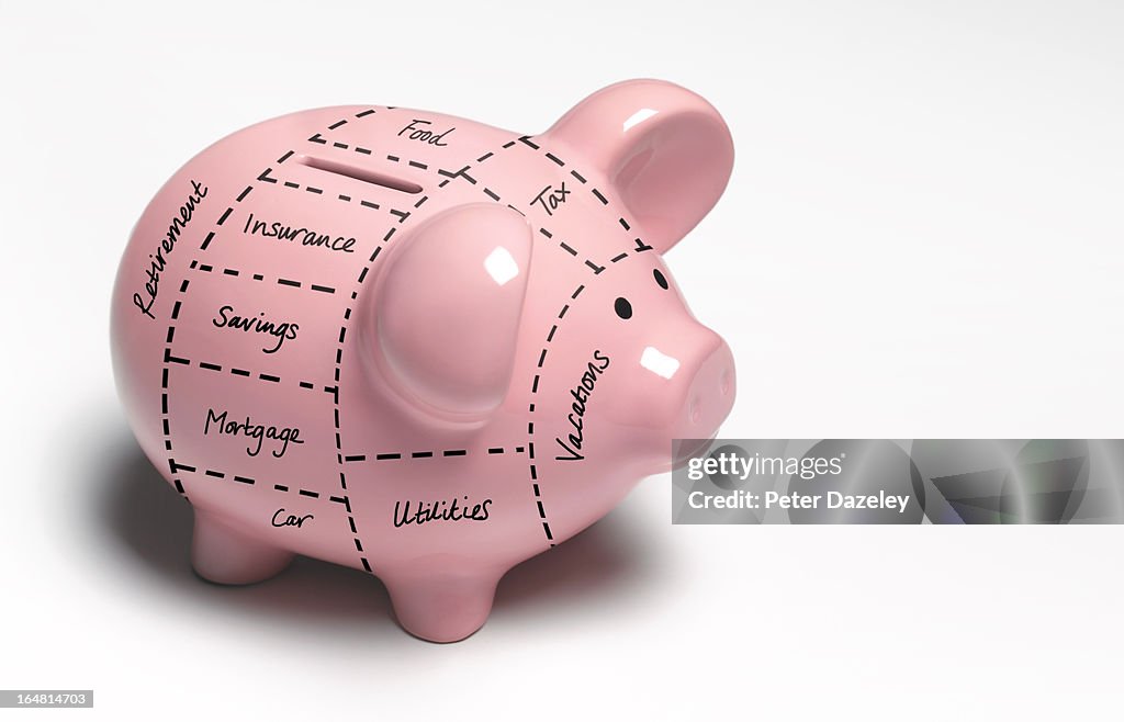Financial piggy bank decisions