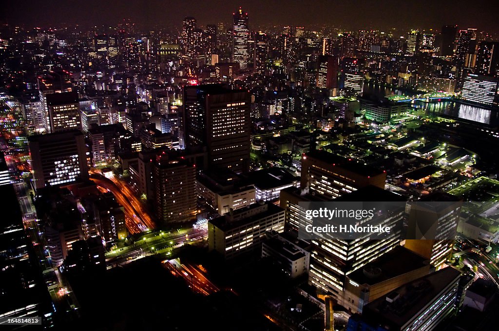 Night Bird's-Eye View