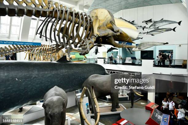 General view of tourists visit the Natural History Museum on August 23, 2023 in London, England. London is the capital of England, many of the...