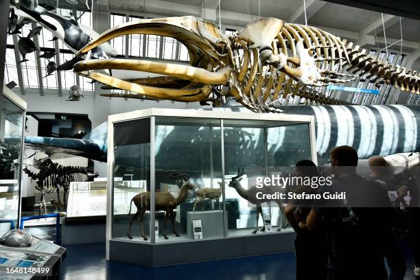 General view of tourists visit the Natural History Museum on August 23, 2023 in London, England. London is the capital of England, many of the...