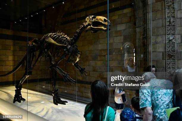 General view of tourists visit the Natural History Museum on August 23, 2023 in London, England. London is the capital of England, many of the...