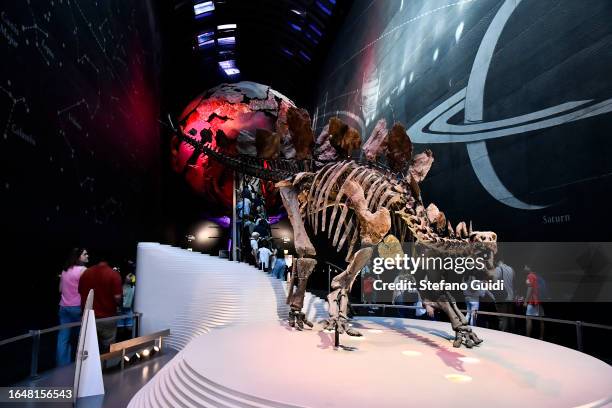 General view of tourists visit the Natural History Museum on August 23, 2023 in London, England. London is the capital of England, many of the...