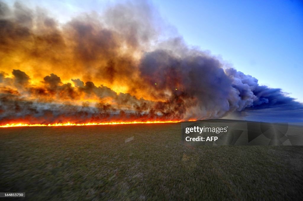 BRAZIL-FIRE-TAIM
