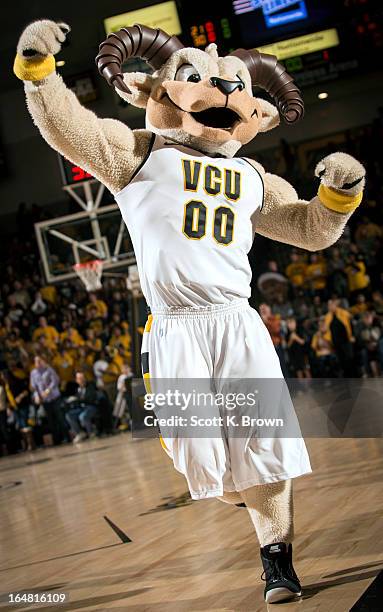 Vcu Mascot Rodney Photos and Premium High Res Pictures - Getty Images