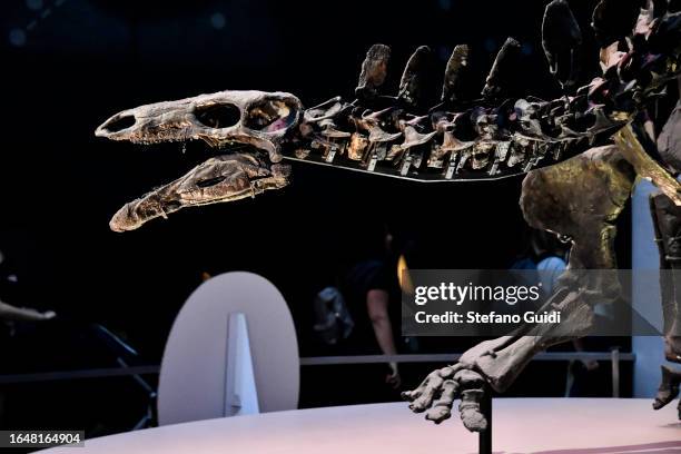 General view of Dinosaur skeleton on the Natural History Museum on August 23, 2023 in London, England. London is the capital of England, many of the...