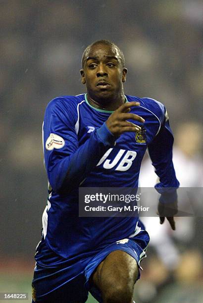 Nathan Ellington of Wigan Athletic in action during the Worthington Cup Third Round match between Wigan Athletic and Manchester City on November 5,...