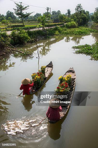 to the market. - river mekong stock pictures, royalty-free photos & images