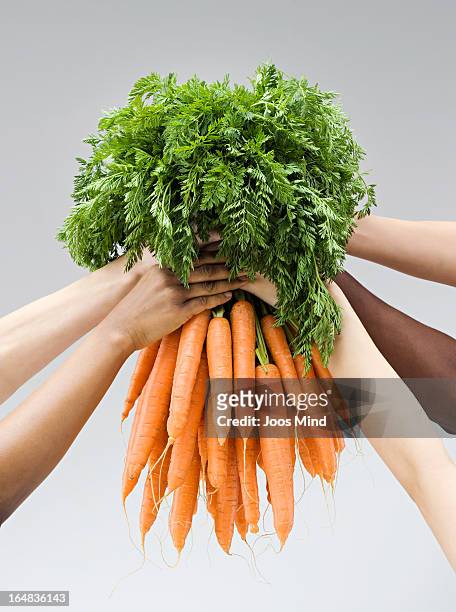 hands holding a fresh bunch of carrots - economía colaborativa fotografías e imágenes de stock