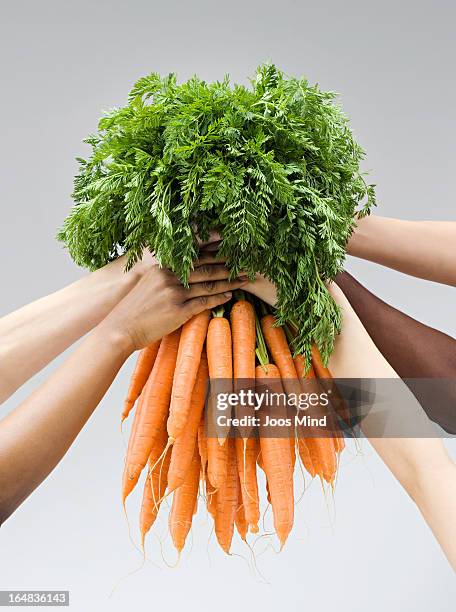 hands holding a fresh bunch of carrots - sharing economy stock pictures, royalty-free photos & images