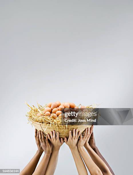 multiple hands holding a big pile of eggs - sharing economy stock pictures, royalty-free photos & images