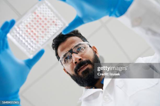 low angle view of male healthcare worker examining samples in tray at laboratory - microplate stock pictures, royalty-free photos & images