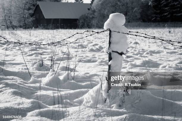 barbed wire fence with snow - gulag stock pictures, royalty-free photos & images