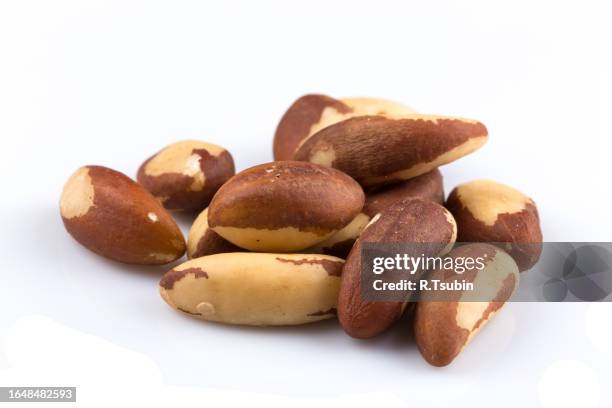 brazil nuts - se stock pictures, royalty-free photos & images