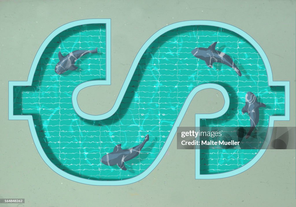 A dollar sign shaped swimming pool with four sharks swimming in it